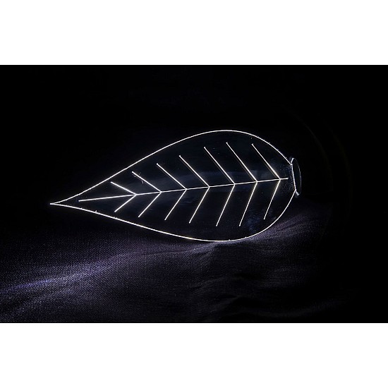 Plexiglass Etched Leaf - Light Painting Brushes